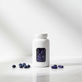 Bilberry Extract – Eye, Vision & Brain Health Support