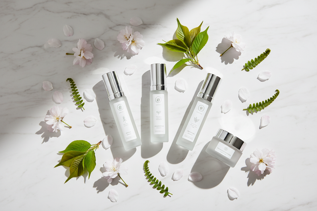 Korean skincare flat lay